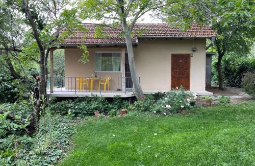 Primorski Casa | A charming and peaceful summer villa 400m from the sea