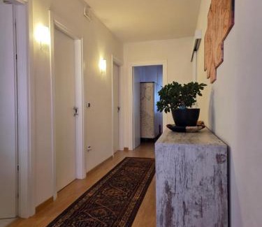 Paluzza Apartamento | A cjase di Diego