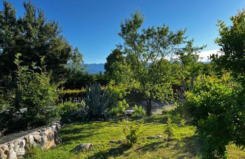 Moruzzo Cama Y Desayuno | A Cjase di Sandra