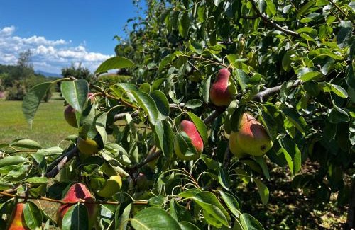 Moruzzo Cama Y Desayuno | A Cjase di Sandra