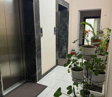 Dushanbe Apartamento | A comfortable coner in the city center