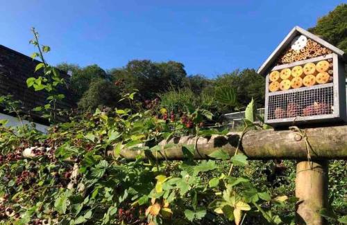 Lyme Regis Casa | A cosy hideaway on the Jurassic Coast