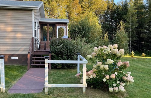 Naufrage Cabaña | A Cozy, New, Tucked Away Cottage