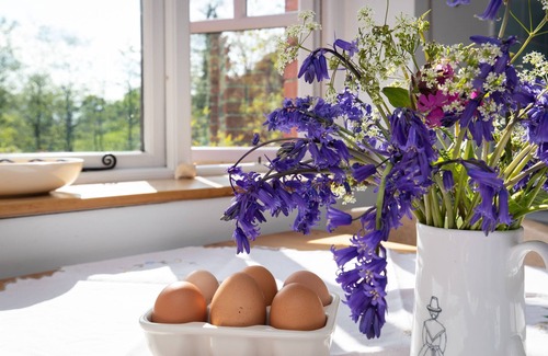 Llanybri Cabaña | A fabulous family friendly cottage in a beautiful rural woodland setting