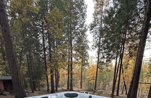Phoenix Lake-Cedar Ridge Cabina | A family friendly cabin nestled in the beautiful Stanislaus National Forest.