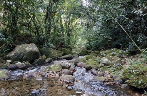 Cachoeiras de Macacu Casa | A family house in the woods of Atlantic forest