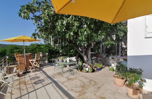 La Rouviere Casa | A fig tree and a pretty house...