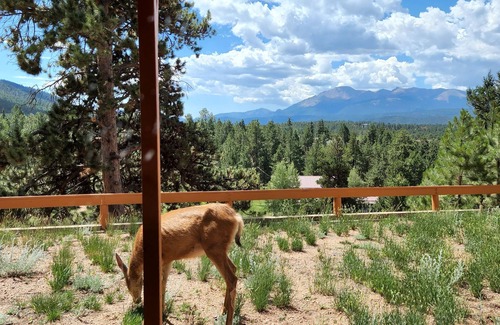 Woodland Park Chalet De Esquí | A-Frame Above the Clouds w/Rare Views on 1.5 acres