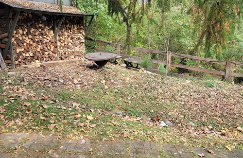 Anderson Township Cabina | A-frame home, 3 acres, fenced, secluded, hot tub, sauna, dog friendly