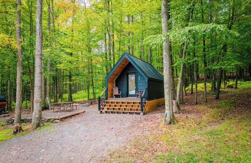 Wellsboro Cabina | A-frame Principal Sum