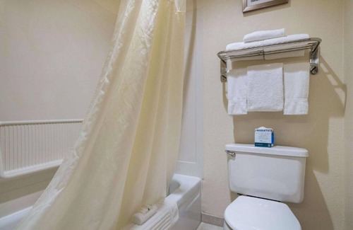 Silverdale Casa | A friendly place to stay on the Kitsap Peninsula !