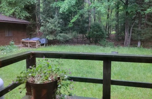Jonas Cabina | A gem in the woods!