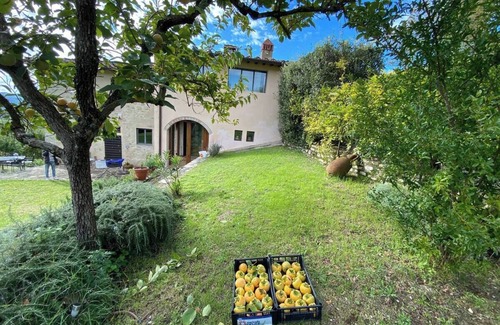 Twist Casa | A Haven of Peace in the Heart of Chianti Rufina