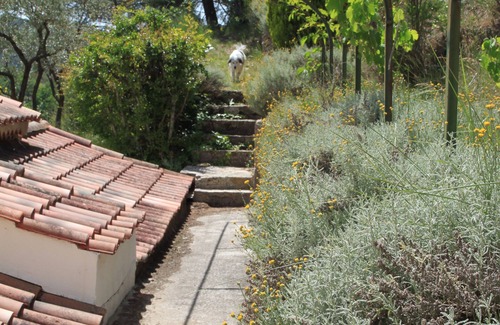 Barjols Villa | Un remanso de paz en Provenza