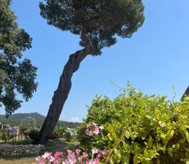 Bagnols-sur-Ceze Apartamento | A l Aube du Midi