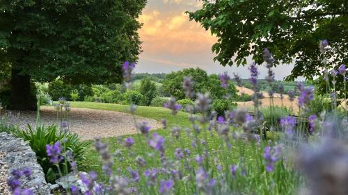 Sud Charente Cama Y Desayuno | A l'ombre du Tilleul