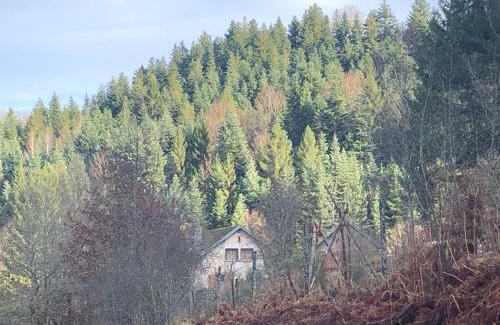 Saint-Sauveur Casa | A l'orée de soi - Maison forestière de la Soie - Eco gîte, chambres d'hôtes, camping au pied des Vosges