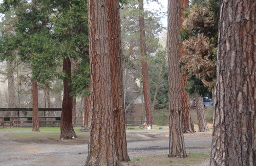 California Hot Springs Cabina | A little piece of heaven