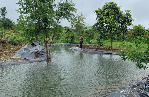 Igatpuri Cabaña | A lovely and cozy Farm Cottage amidst nature where you can be yourself!
