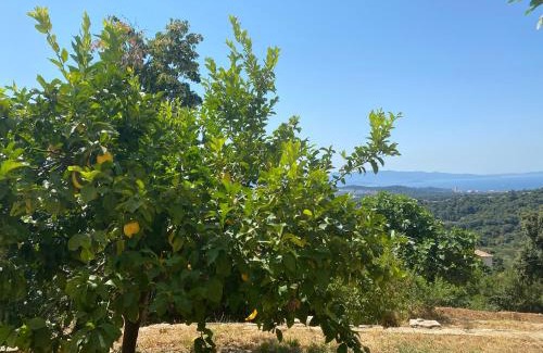 Alata Casa | A Muredda