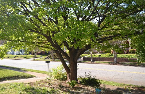 Jefferson Park Casa | UN LUGAR PARA IR - Casa entera - Cerrar aeropuerto