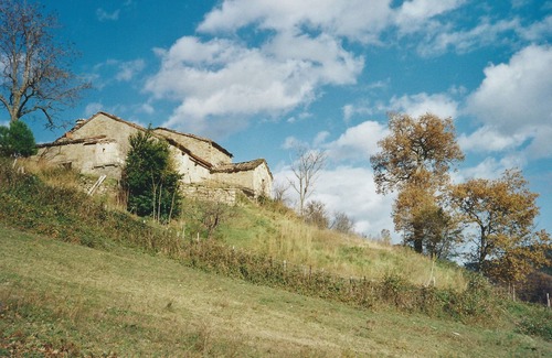 Premilcuore Casa | Un lugar para relajarse, rodeado de belleza natural, y nadar en el río cercano.