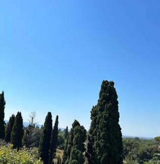 Bolgheri Apartamento | a pochi passi dal centro