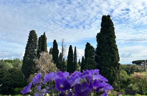 Bolgheri Apartamento | a pochi passi dal centro