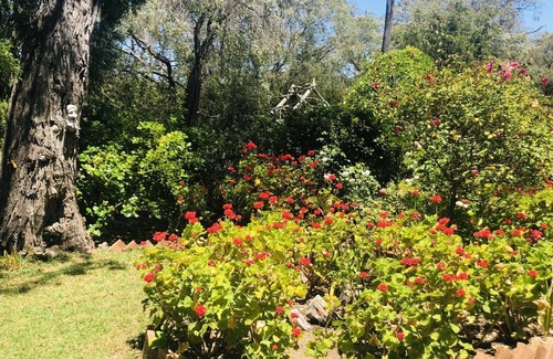 Quindalup Casa | A quirky, quaint cottage by the water’s edge.