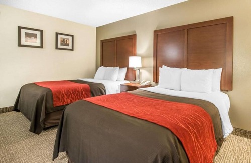 Northeast Park Hill Casa | A relaxing stay near the Denver airport!!