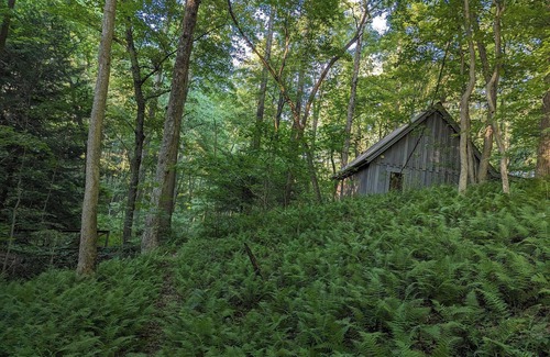 Rockbridge Cabina | A secluded couples retreat set in a mature forest in the beautiful Hocking Hills