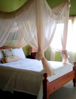 Vieux Fort Casa | A Serene Getaway