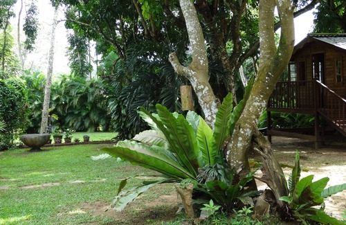 Kosgama Casa | Un ambiente tranquilo y sereno que bordea un río.