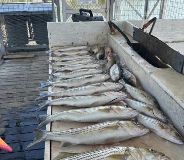 Kingston Casa | A Shore Thing-Beach-Fishing-Fire Pit-Relax-Pets