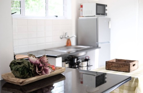 Pennington Apartamento | Un alquiler especial de vacaciones para personas especiales.