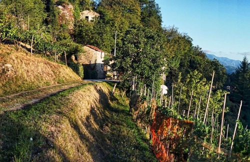 Bigliolo Villa | Una impresionante villa toscana con piscina privada ubicada en su propio viñedo,