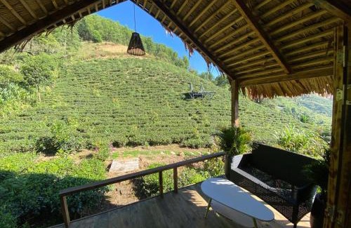 Bao Lam Casa | A Tea Hillside Bungalow
