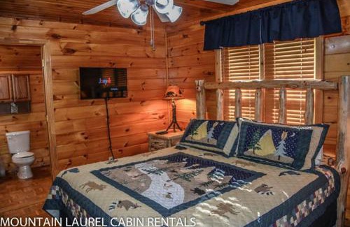 Morganton Casa | A Touch of Bearadise