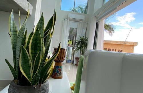 La Manzanilla Casa | Vive el Paraíso en Angels’haven