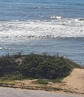 Port Alfred Casa | A-View-at-Kingfisher Port Alfred Guest Accommodation