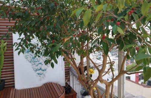 Campo Belo Apartamento | A vista que vale a viagem!
