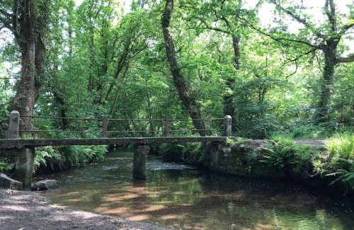 Helston Apartamento | A woodland retreat - Apartment in converted mill