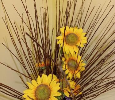 Castelnuovo di Porto Cama Y Desayuno | A1 Girasole B&B