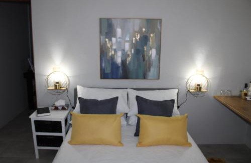 Springbok Apartamento | Aalwynsig
