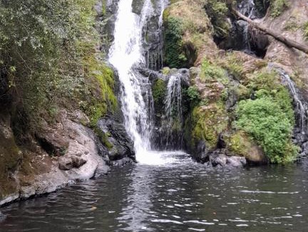 Arusha Casa | Aarusha homestay