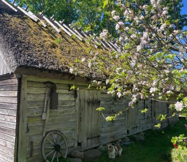 Saaremaa Casa | Aaviku Holiday Houses