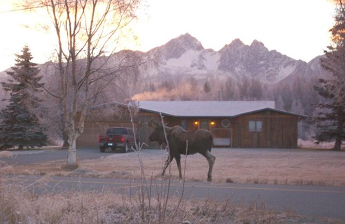 Wasilla Casa | Abby's Guest Cottage