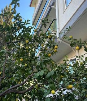 Eski Lara Apartamento | ABC Apart Hotel