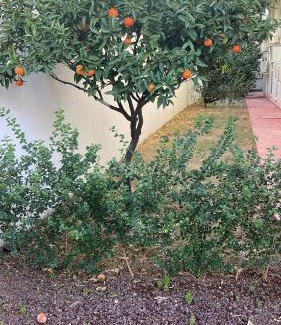 Eski Lara Apartamento | ABC Apart Hotel