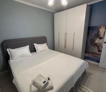 Kyzylorda Apartamento | Abek Apartments
